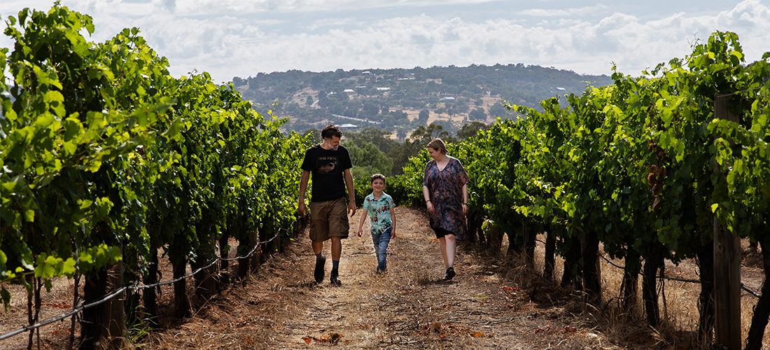 Garth Cliff and family in the vineyard
